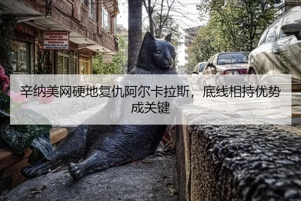 xin-na-mei-wang-ying-di-fu-chou-a-er-ka-la-si-di-xian-xiang-chi-you-shi-cheng-guan-jian-2-624.jpg