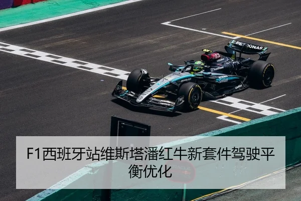 xi-ban-ya-zhan-wei-si-ta-pan-hong-niu-xin-tao-jian-jia-shi-ping-heng-you-hua-2-799.jpg