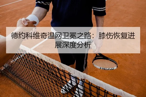 de-yue-ke-wei-qi-wen-wang-wei-mian-zhi-lu-xi-shang-hui-fu-jin-zhan-shen-du-fen-xi-2-822.jpg