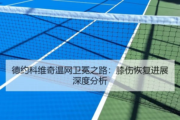 德约科维奇温网卫冕之路：膝伤恢复进展深度分析