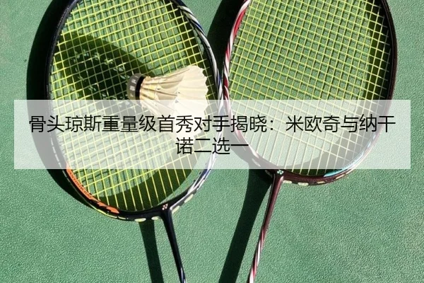 gu-tou-qiong-si-zhong-liang-ji-shou-xiu-dui-shou-jie-xiao-mi-ou-qi-yu-na-gan-nuo-er-xuan-yi-2-181.jpg